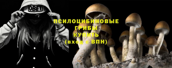 apvp Нефтегорск