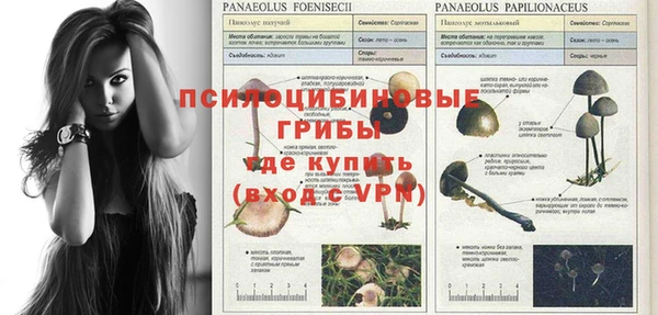 прущие крисы Богородицк