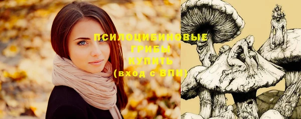 метамфетамин Новодвинск