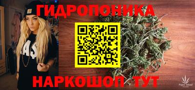 сатива Бийск