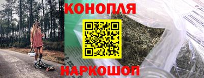 сатива Бийск