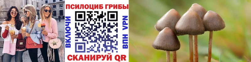 Псилоцибиновые грибы мухоморы  хочу наркоту  Курган 