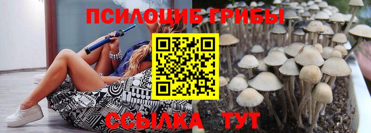Псилоцибиновые грибы Magic Shrooms Курган