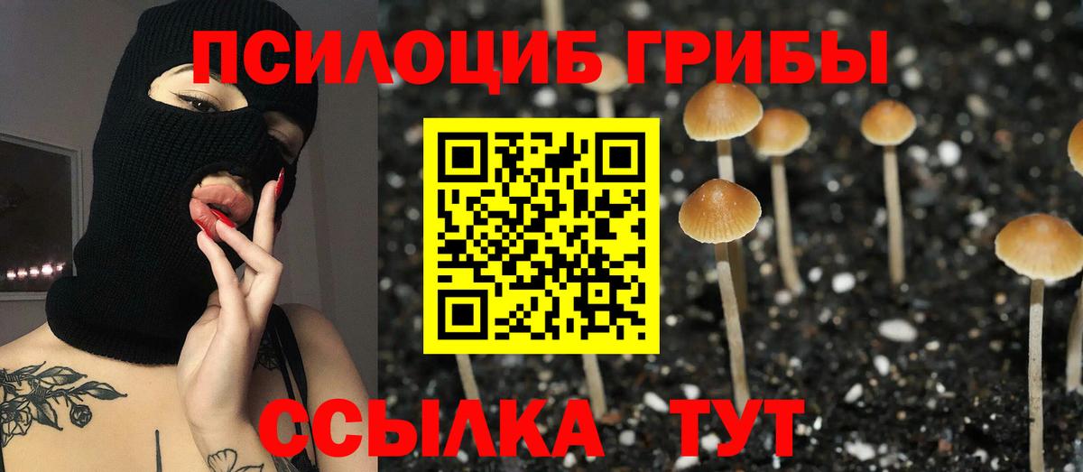 Галлюциногенные грибы Magic Shrooms Курган