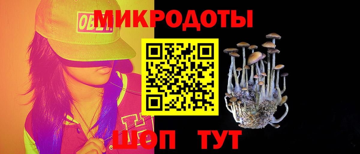 Псилоцибиновые грибы MAGIC MUSHROOMS  Курган  Псилоцибиновые грибы MAGIC MUSHROOMS 