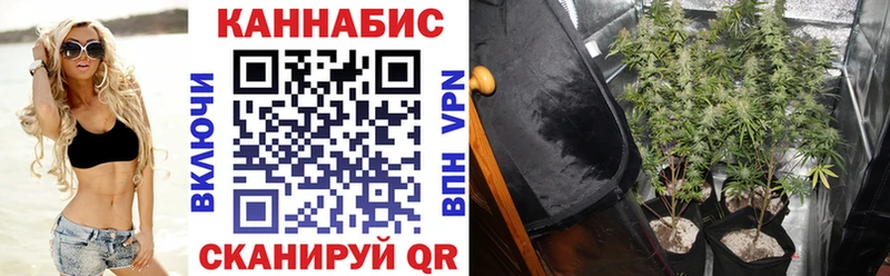 Конопля гибрид Курган